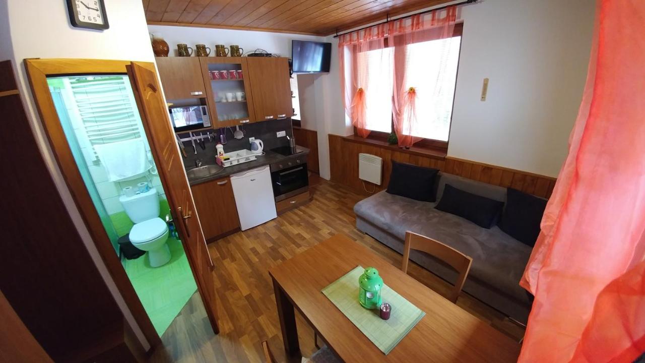 One-Bedroom Apartment with Sofa Bed