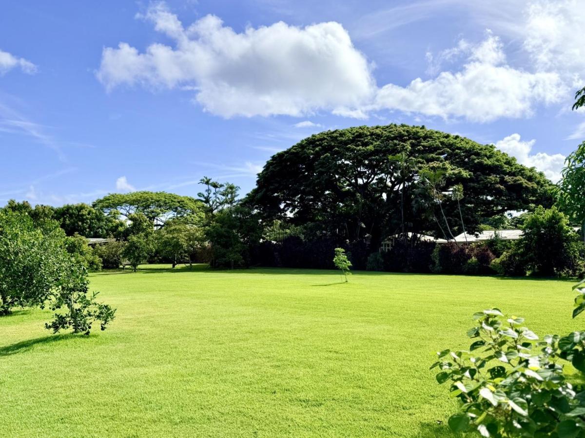 Hibiscus Hale - Perfect for 2! - Chambres d'hôtes Waialua