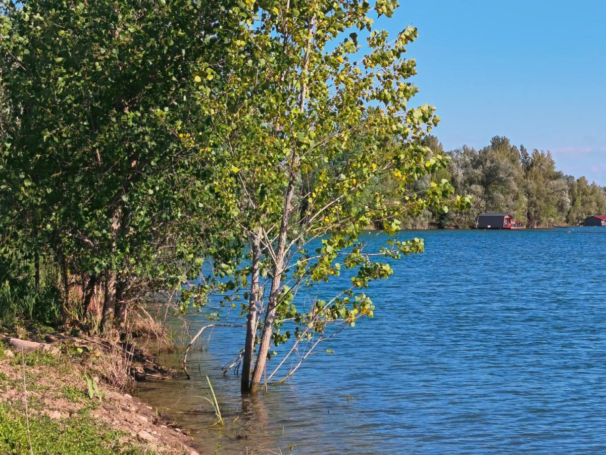 Maison flottante - Baurech - Lac prive nature - B&B Baurech