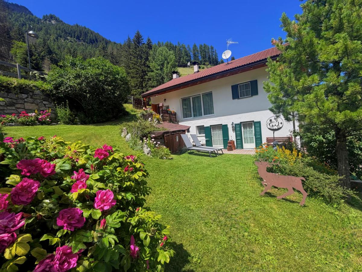 Dolomites Chalet CESA VEDLA -nature & silence - B&B Urtijëi