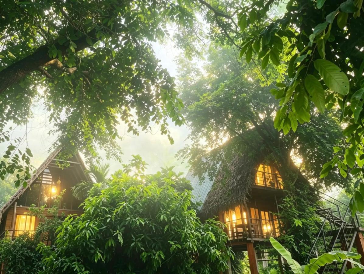 Habarana Tree House - Ivory cottage & spa lake view - B&B Habarana