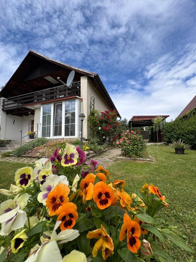 Privat Medo - Ferienwohnung Děpoltovice