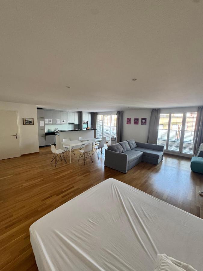 New Penthouse Loft with Rooftop Terrace 50sqm, Hot Tub, Open Kitchen Island, 2 BR, City Center - B&B Basel