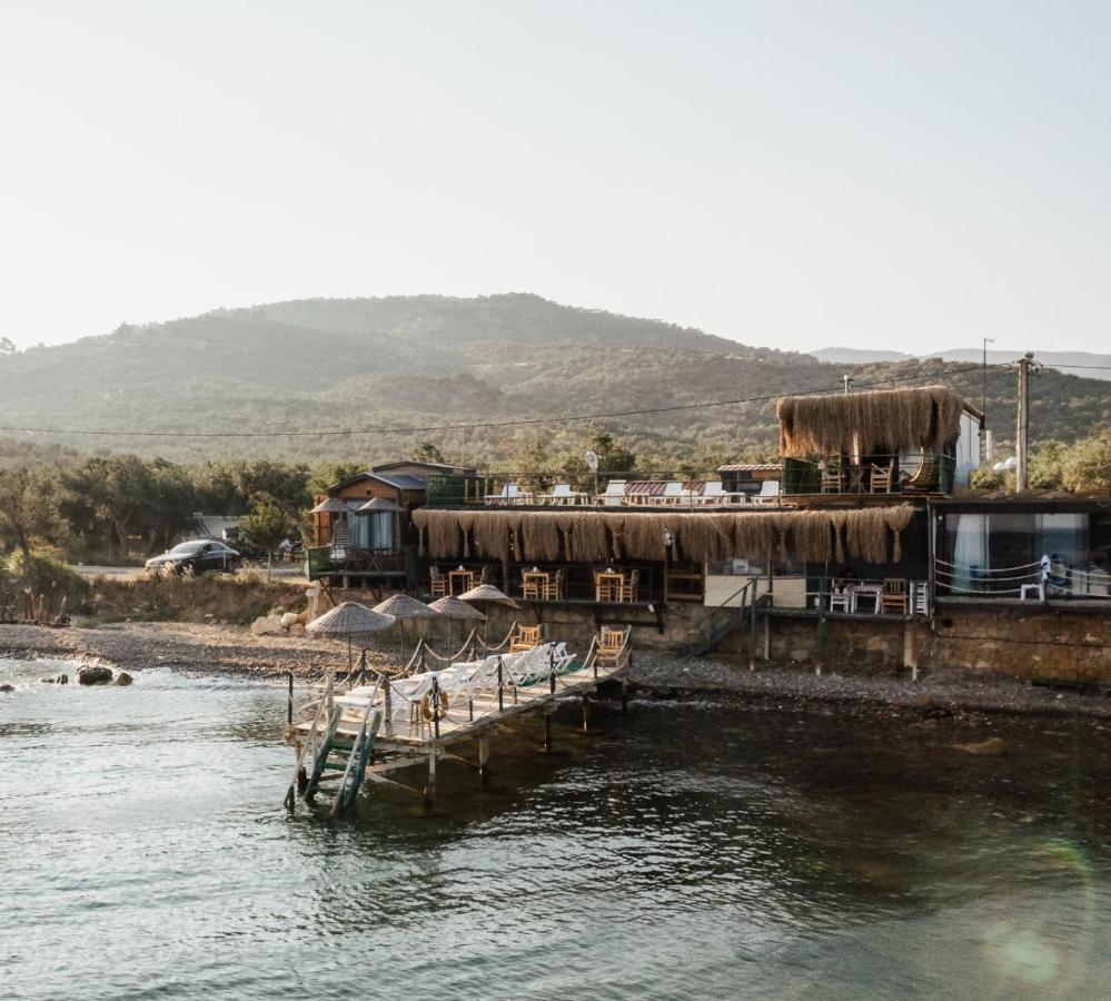 ADA TİNY HOUSE LOCA - B&B Ayvacık