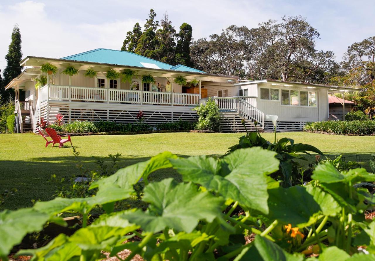 Aloha Junction Bed and Breakfast -Minutes away from Hawaii Volcanoes National Park - B&B