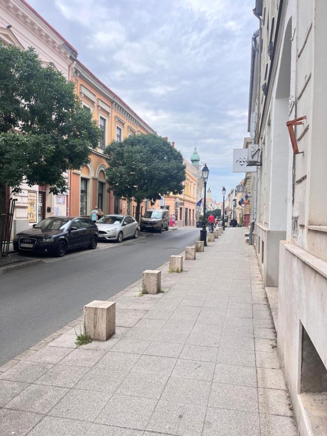 Artic Home Studio - Bed and Breakfast Pécs