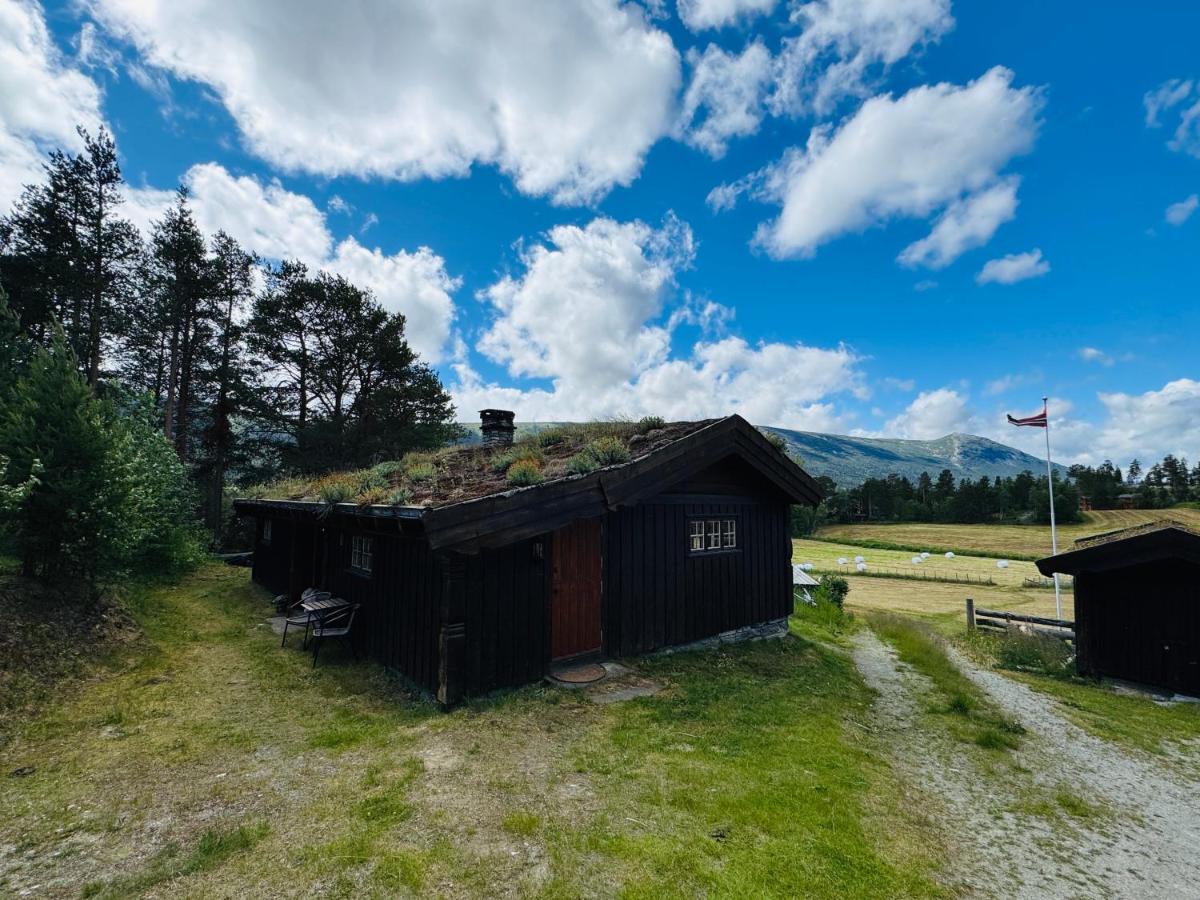 Atmospheric cabin by Lesjaskogsvatnet - Ferienwohnung Lesja