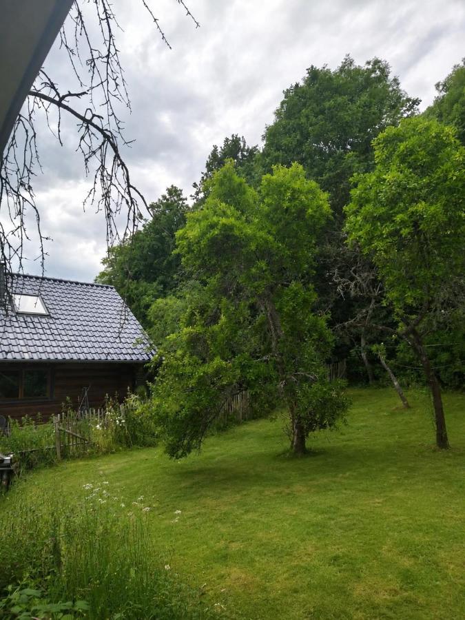 Am Rursee Obst- und Wintergarten für 8 Personen, 2 Hunde, Familien & Firmen - B&B Simmerath