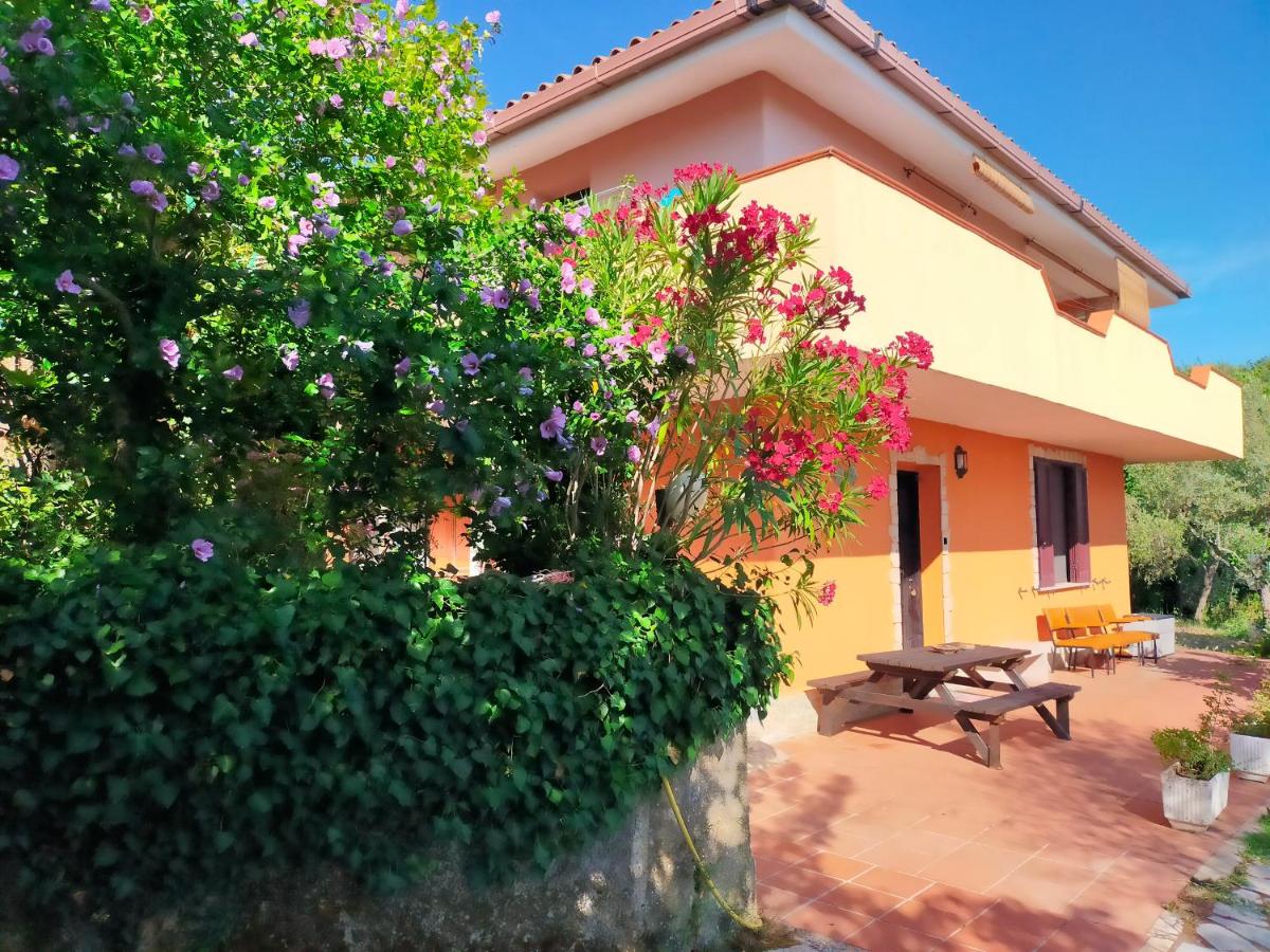 B&B Meladormo - B&B Tempio Pausania