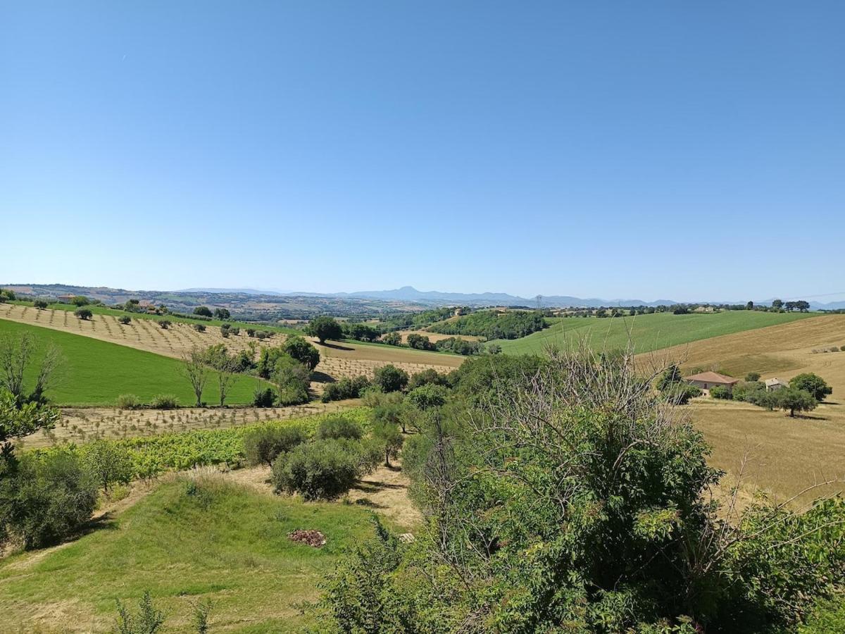 Stazione Celeste Newly renovated apartment in the hills - Ferienwohnung Roncitelli