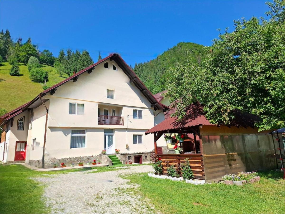 Casa Coraiu - B&B Moeciu de Sus