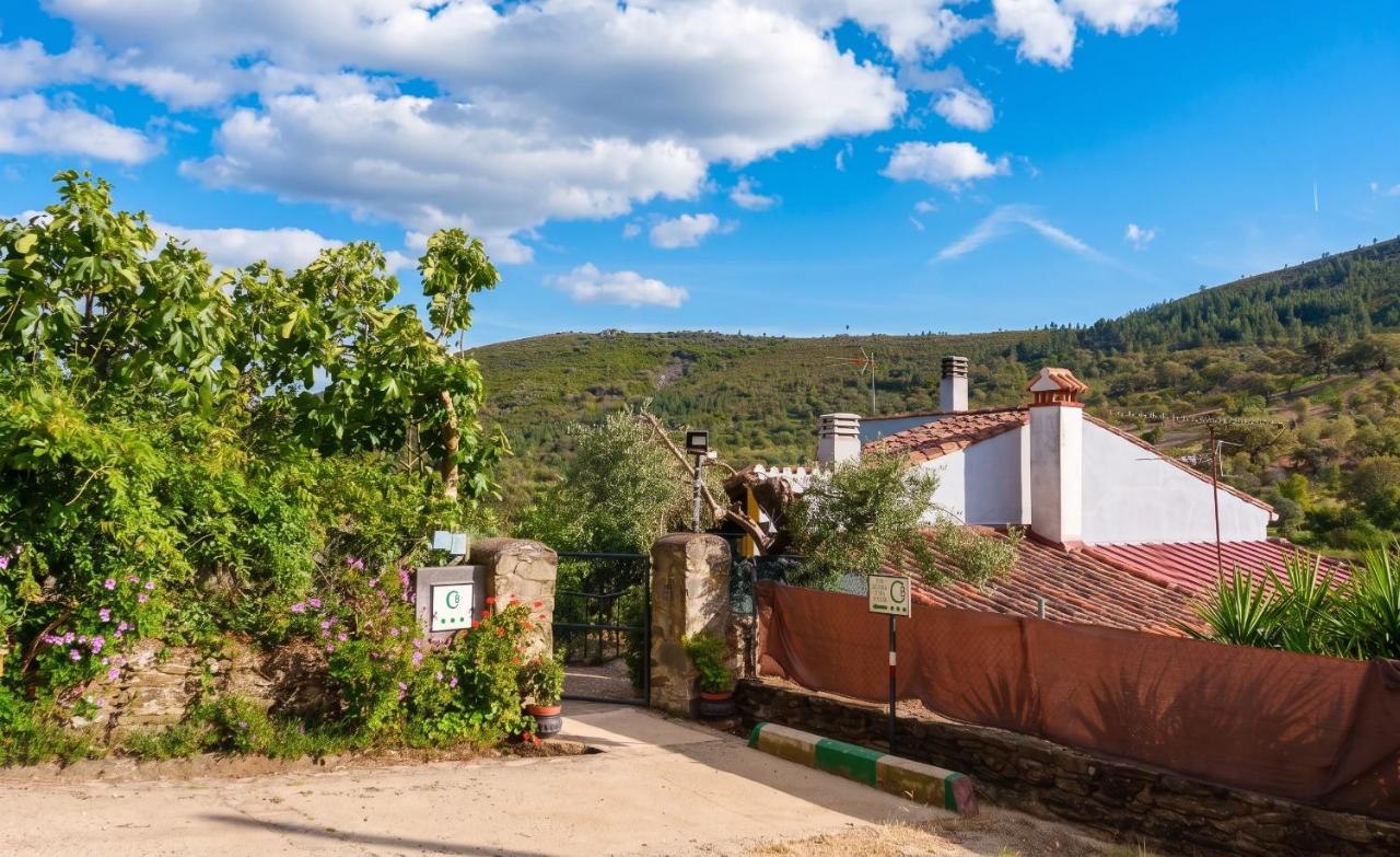Cozy studio in Valencia de Alcántara 25 m² lovely garden - Bed and Breakfast Valencia de Alcántara