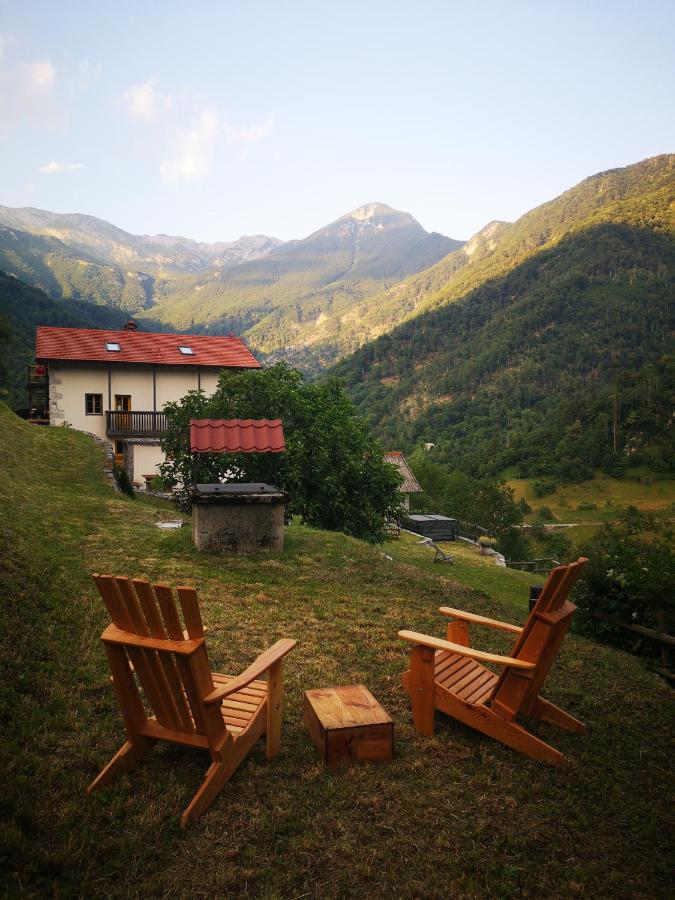 Apartment mit 1 Schlafzimmer