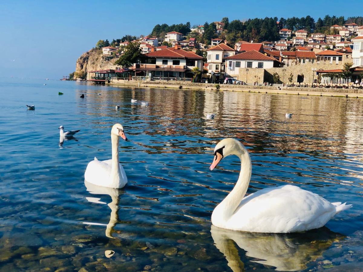 Janik Apartment Ohrid, City Center, Fast WiFi - B&B Ocrida