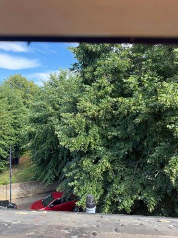Entire Bedroom Flat in London Lewisham - B&B Londres