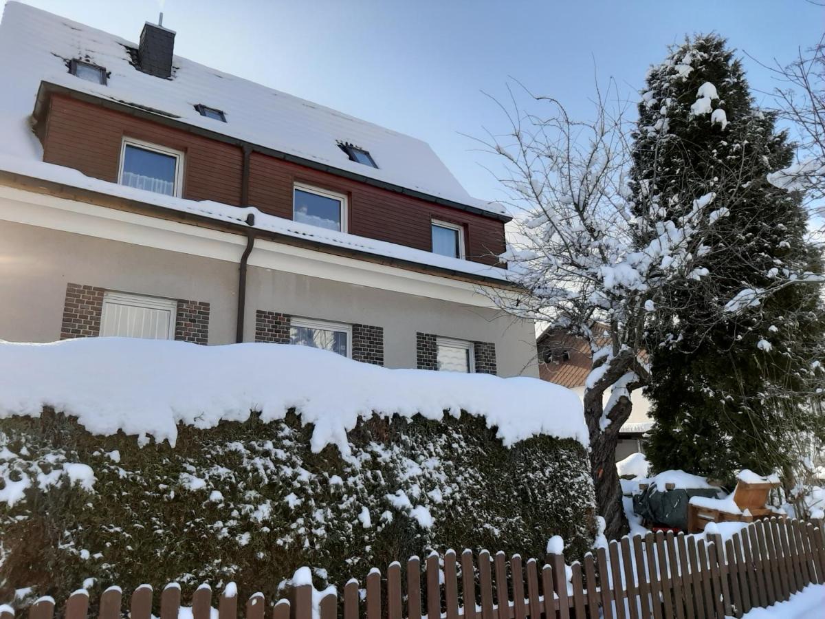 Am Sachsenstein - Zum Skiflieger - B&B Bernsbach