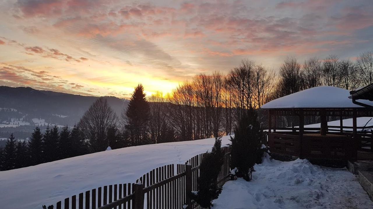 Pensiunea Bujor De Munte Colibita - B&B Colibița