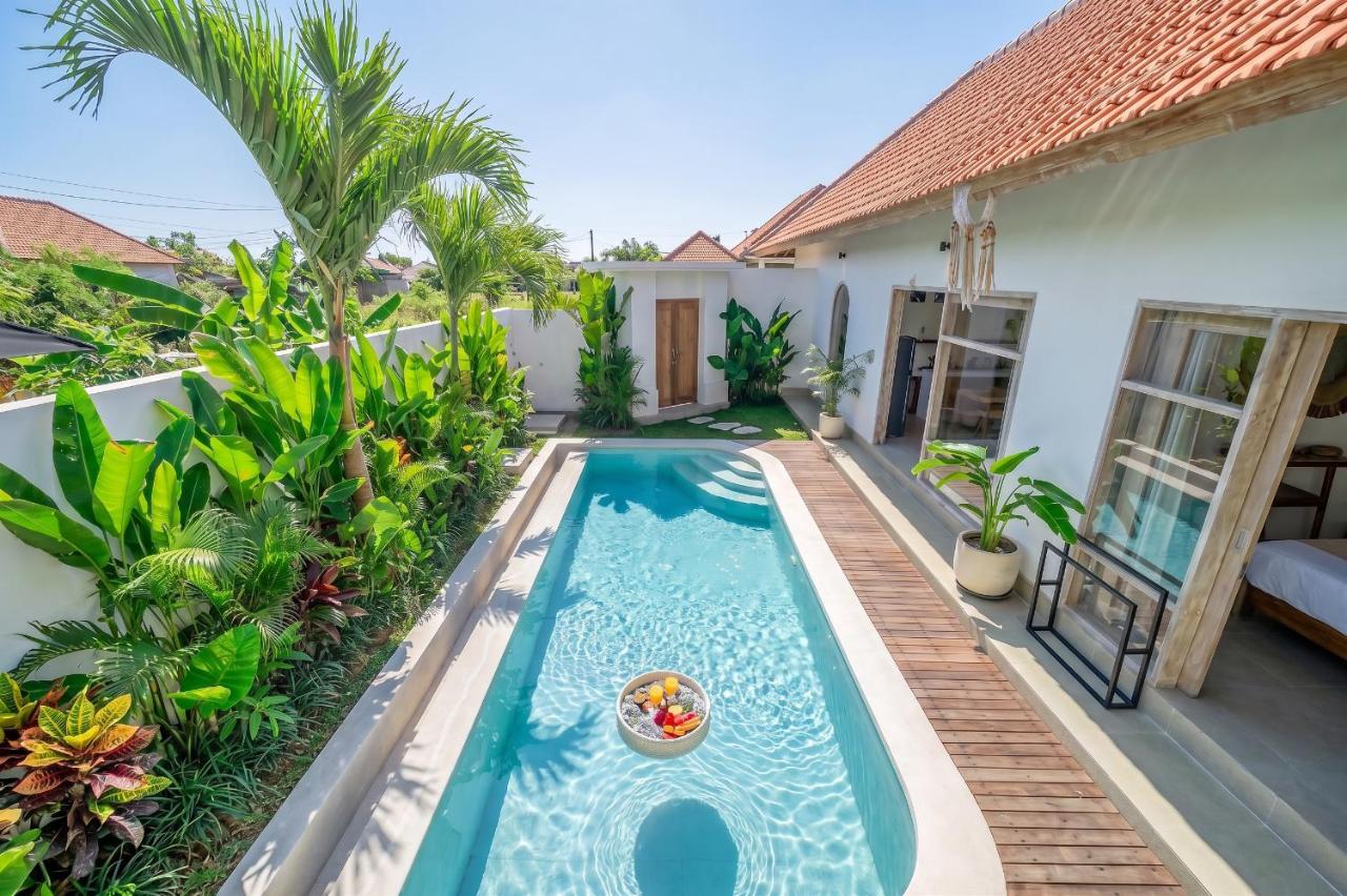 La Palma - Greenery Pool Escape with Private Parking - B&B Canggu