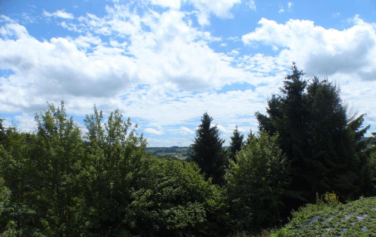 Les terrasses de Malmedy Studio 333 Yellow Grey - B&B Malmedy