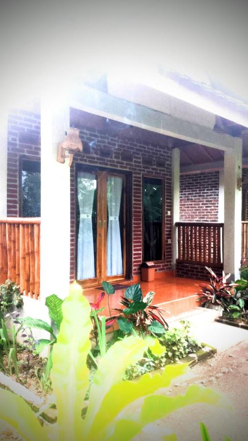 Tetebatu Hill - B&B Tetebatu