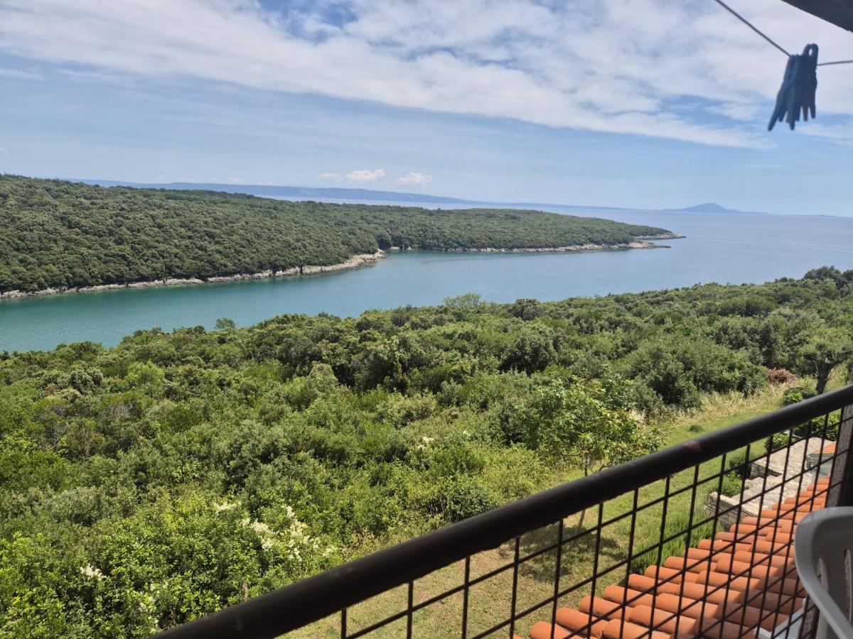 Studio apartman Bašelak, Duga Uvala - Chambres d'hôtes Pavicini