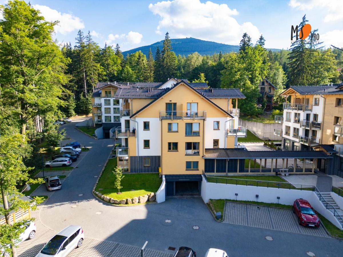 MSPro K17 Mountain and City Apartment - B&B Szklarska Poręba