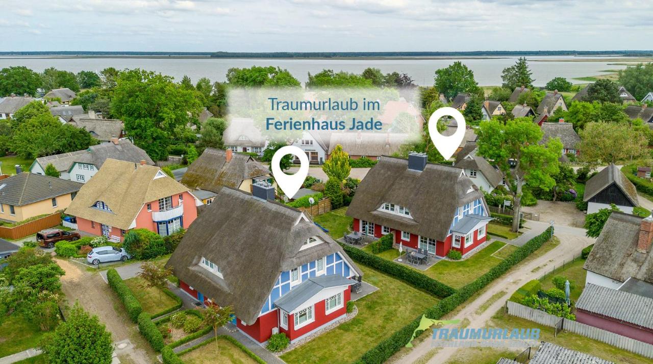 Jade 4 - B&B Born