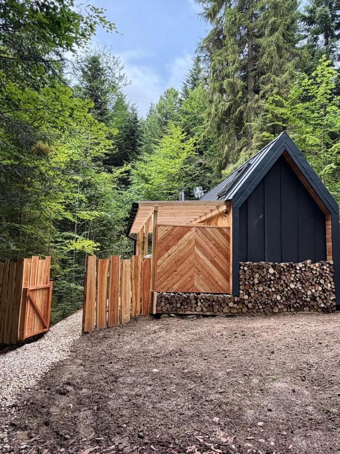 Tiny nad potokiem - Leśny - B&B Sidzina