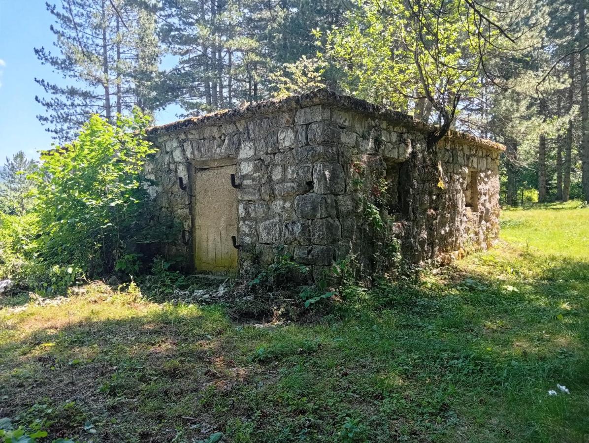 Apartman-Studio Bobana - B&B Kolašin