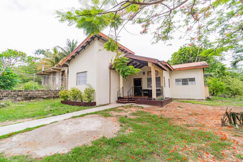 Campo Verde House - B&B San Ignacio