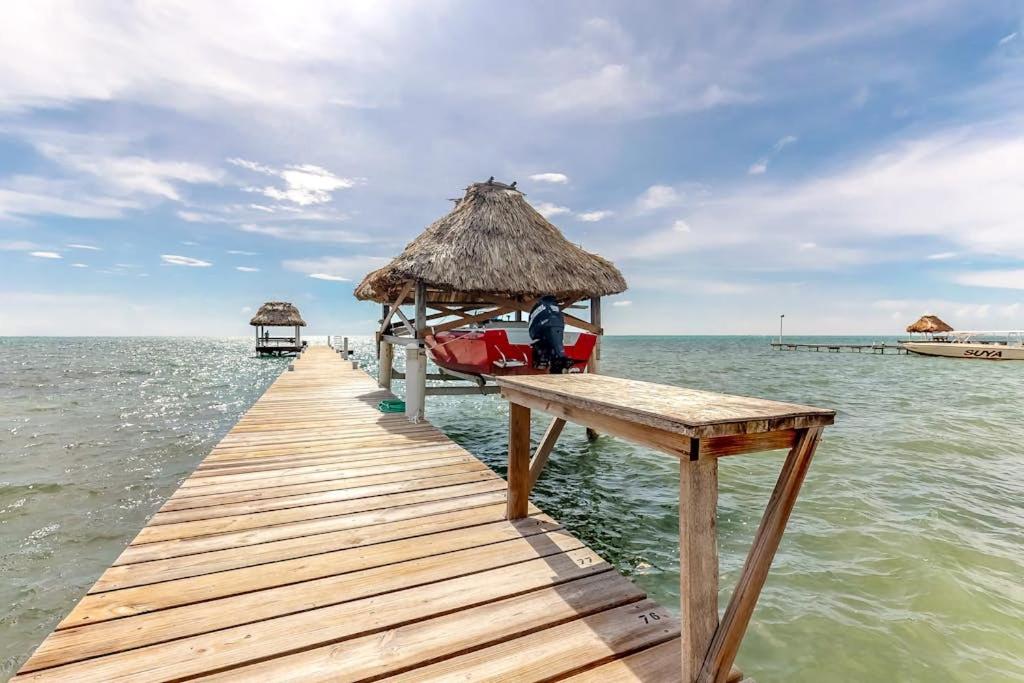 Mango 10 at Caribe Island Gold Standard Certified - B&B San Pedro