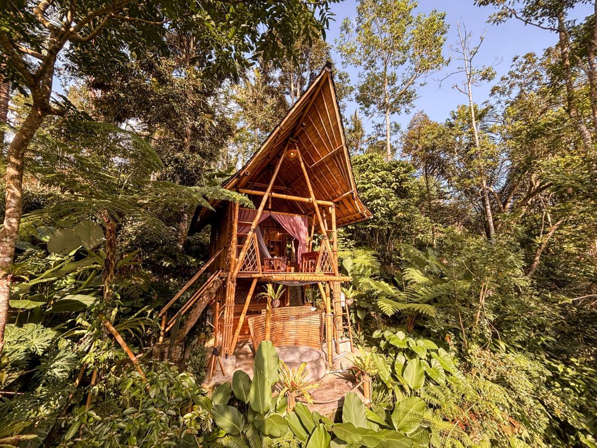 Alasari Hidden Bamboo Retreat in the Jungle - B&B Banjar Seribatu