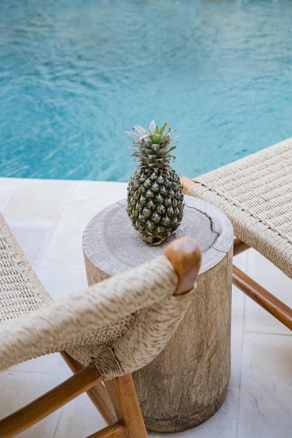 3BR Luxury Villa + Gym, Sauna and Wellness FREE - Chambres d'hôtes Canggu