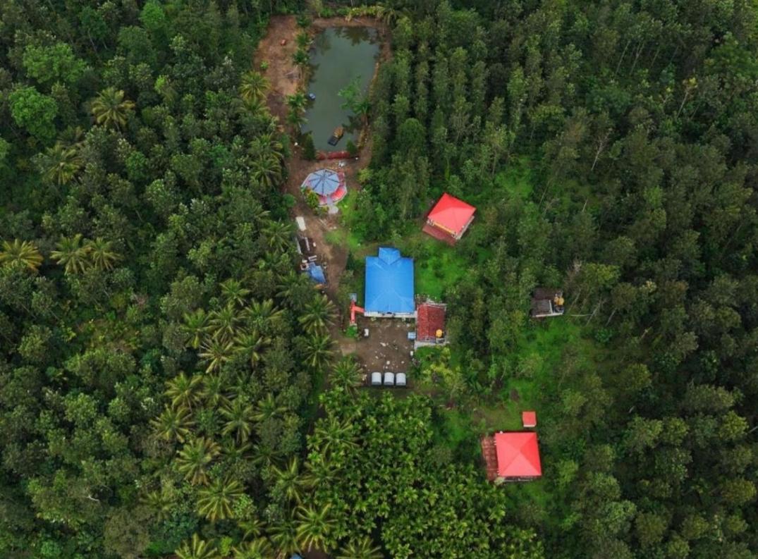Rising surya Plantation stay - B&B Kushālnagar