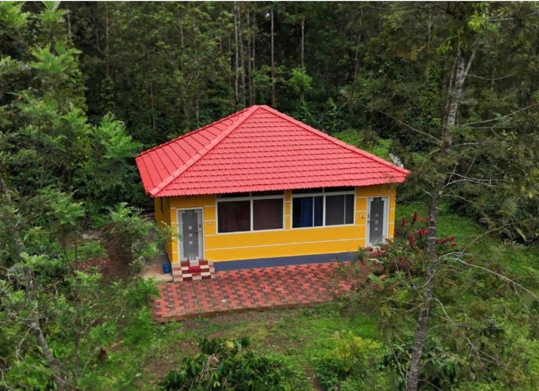 Rising surya Plantation stay - B&B Kushālnagar