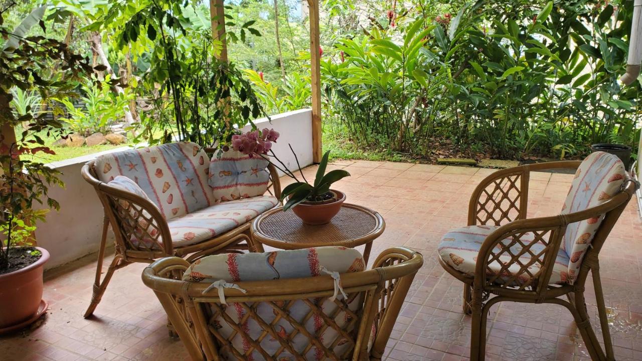 Appartement charmant à Sainte-Rose - 70m² avec terrasse - Chambres d'hôtes Sainte-Rose