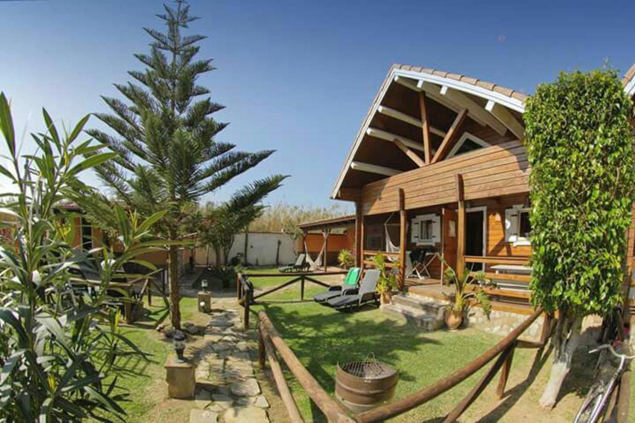 Charming bungalow in Tarifa with mountain view and garden - Chambres d'hôtes Tarifa