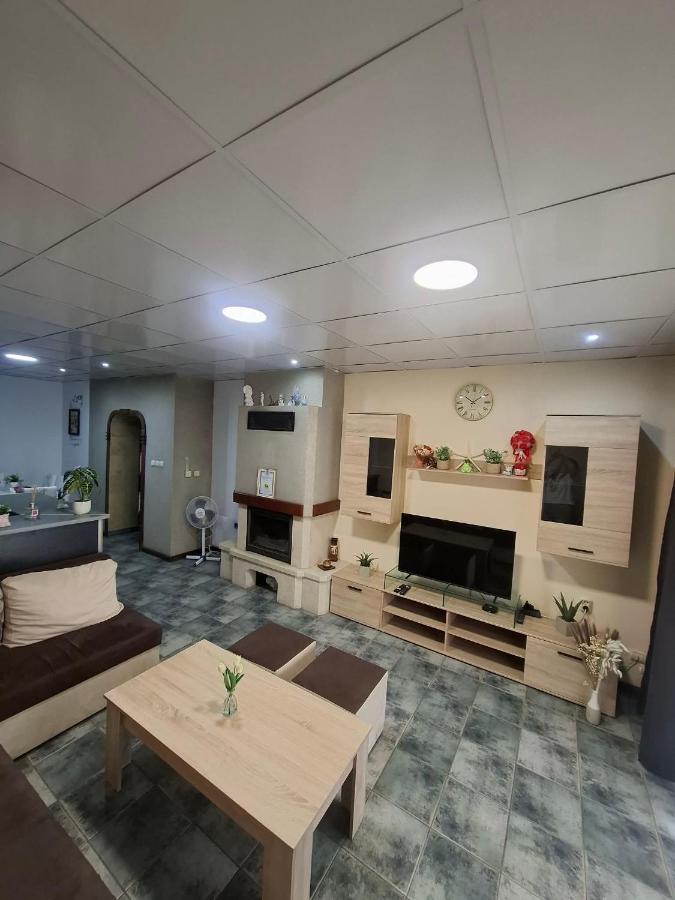 Kombfapartment - Bed and Breakfast Berkovitsa