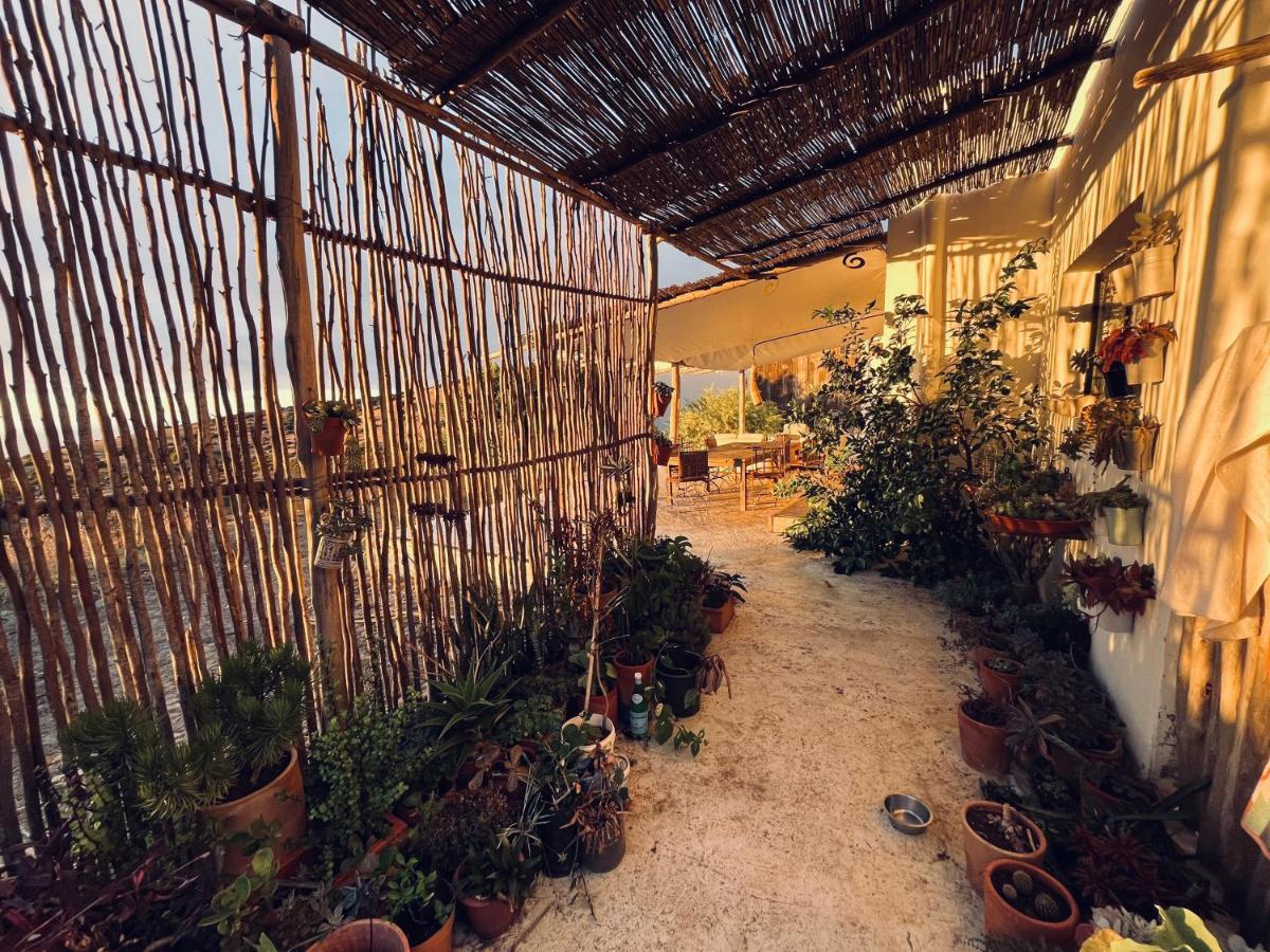 Dar-west - B&B Demina