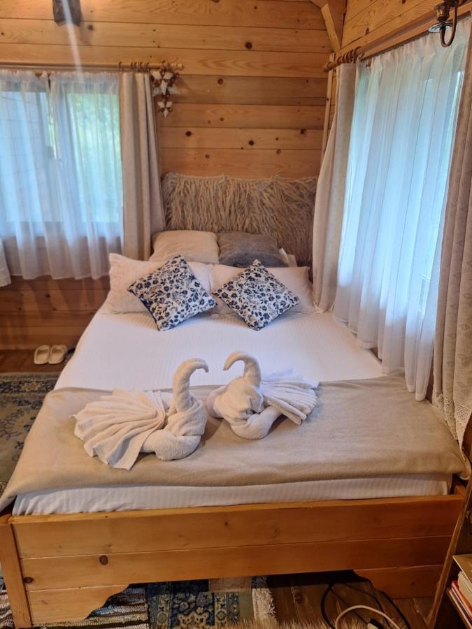 Cabana Plaiul Bucovinei - Chambres d'hôtes Câmpulung Moldovenesc