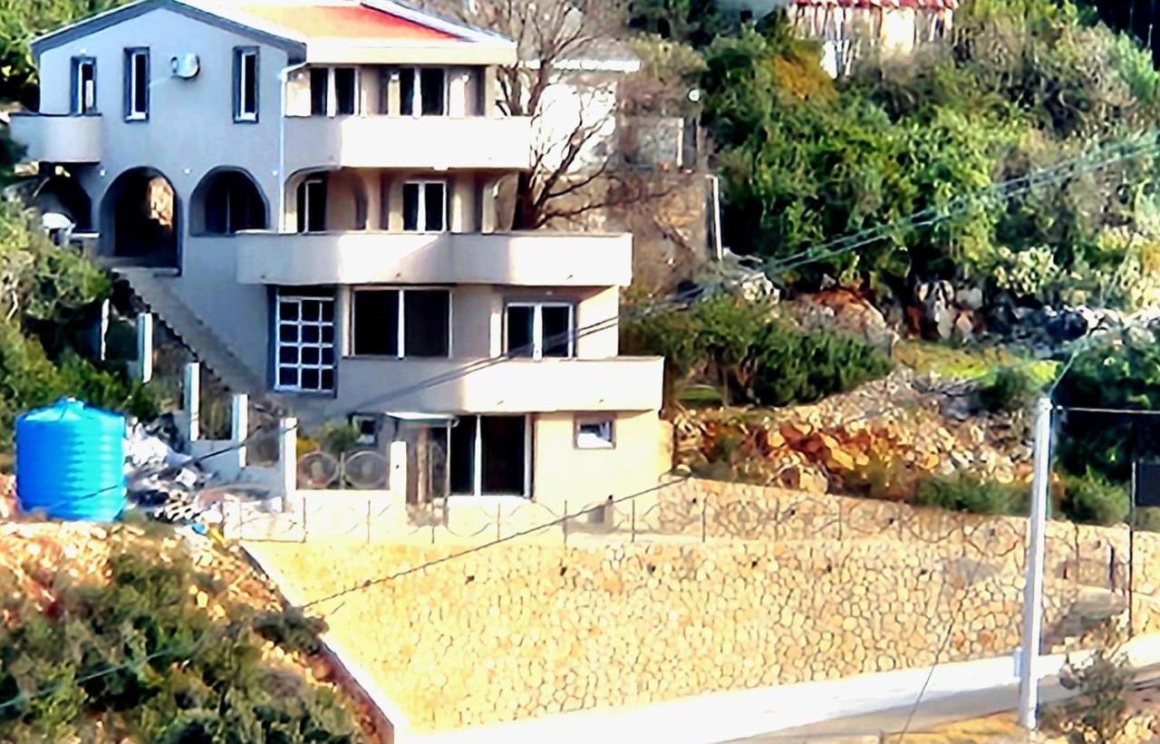 Apartmani Zara - B&B Pečurice
