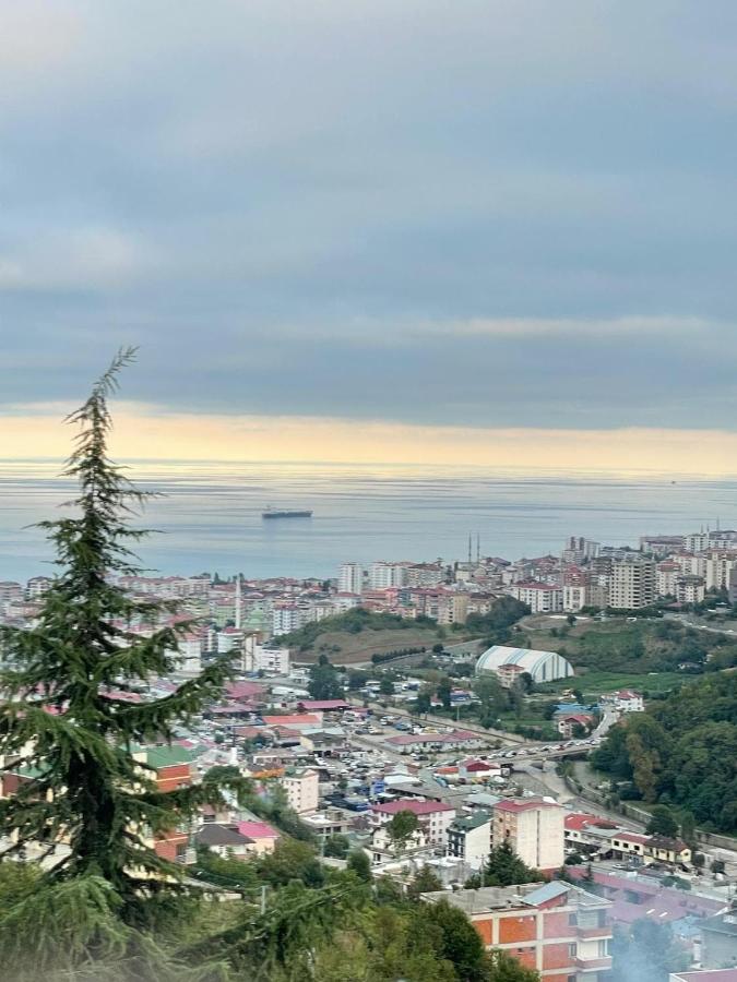 Yeşilliğin İçindeki Aradığınız Huzur - B&B Akçaabat