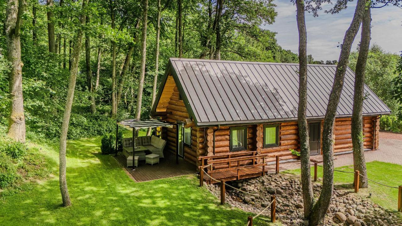 Rąstinė vila prie Ūlos upės Dzūkijoje - B&B Žiūrai