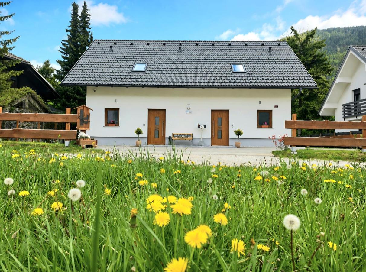 Apartments Zlati Rog - B&B Kranjska Gora