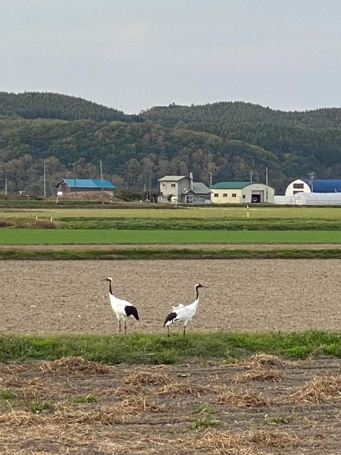 Comfort Stay Abashiri - B&B Abashiri
