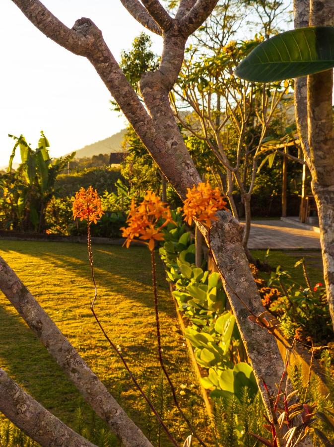 Wanagiri Sunrise Village - Bed and Breakfast Gitgit