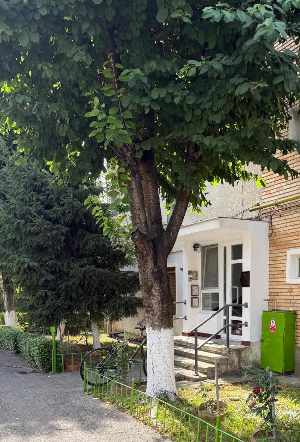 Ianis Home - B&B Hunedoara