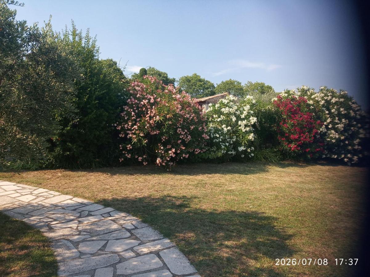 Pink and white flowering shrubs stand at dog-friendly Le Grangeon in Cruis.