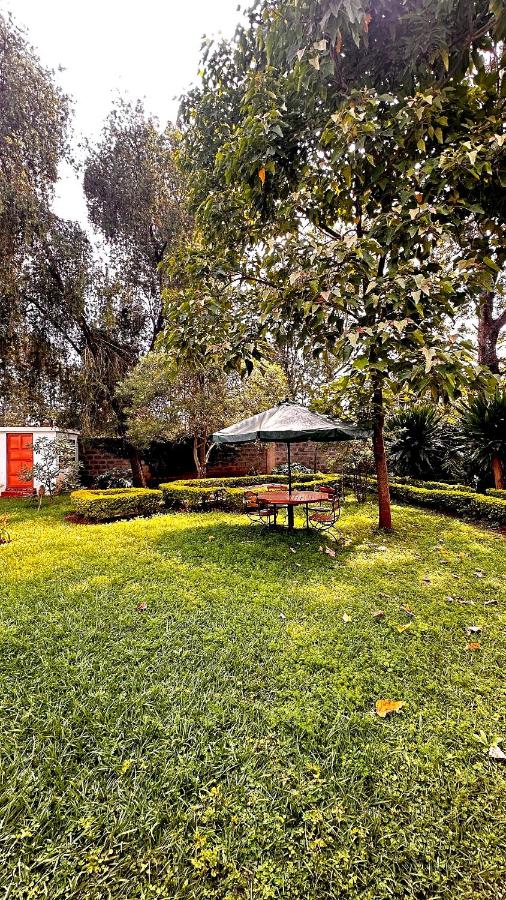 Arabella Nala Stylish 1BR 50m to Karen Club - B&B Nairobi
