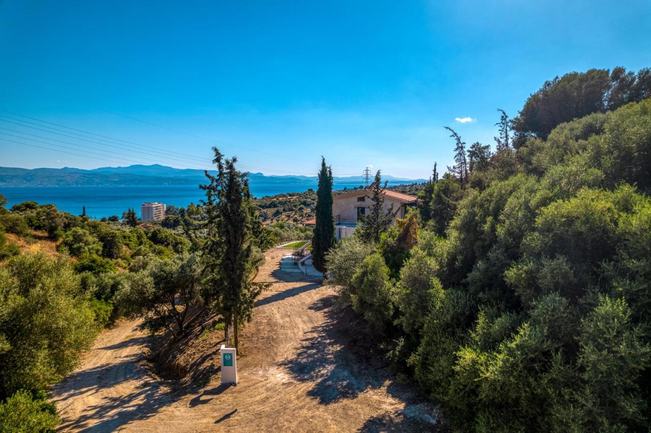 Theta Resorts Amarynthos Living Project - B&B Amarinto